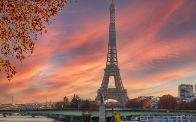 Plongez dans l’univers gastronomique des bars et restaurants parisiens : guide ultime de découvertes et de saveurs